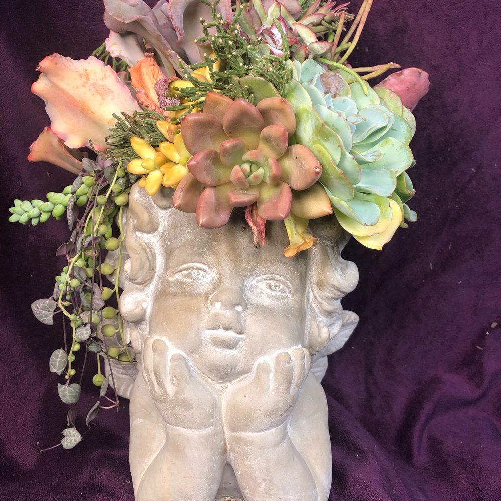 Charming Gray Cherub Planter with Succulents